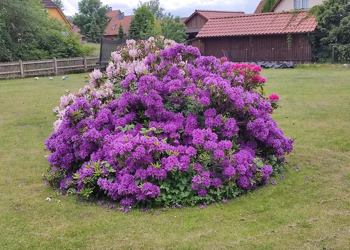 Ferienwohnung An Der Wassermuehle In Hermannsburg