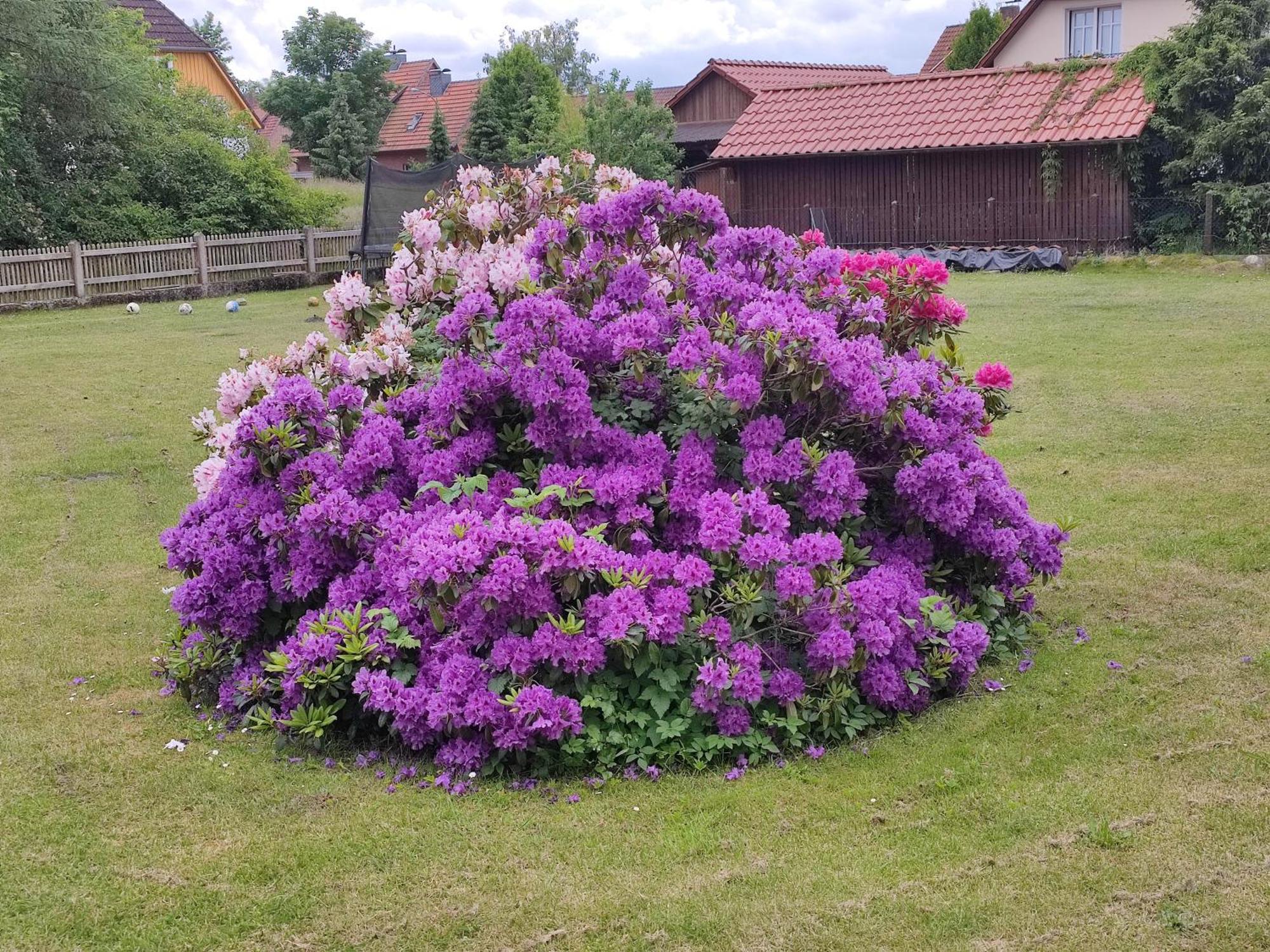 Apartment An Der Wassermuehle In Hermannsburg